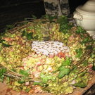 IMG_5784_JPG-1317714095