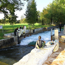 normal_03102011fmt_almwelleimherbst_mw_16.JPG