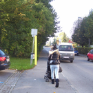 Hecke wurde gestutzt