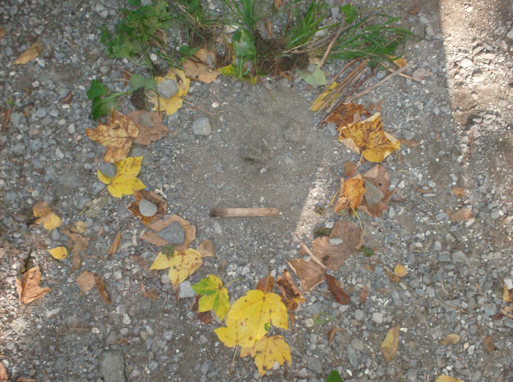 VS Haselstauden Wald1.jpg