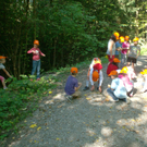 VS Haselstauden Wald10.jpg