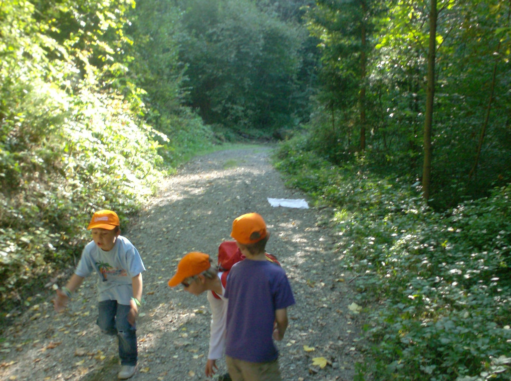 VS Haselstauden Wald11.jpg