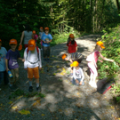 VS Haselstauden Wald12.jpg