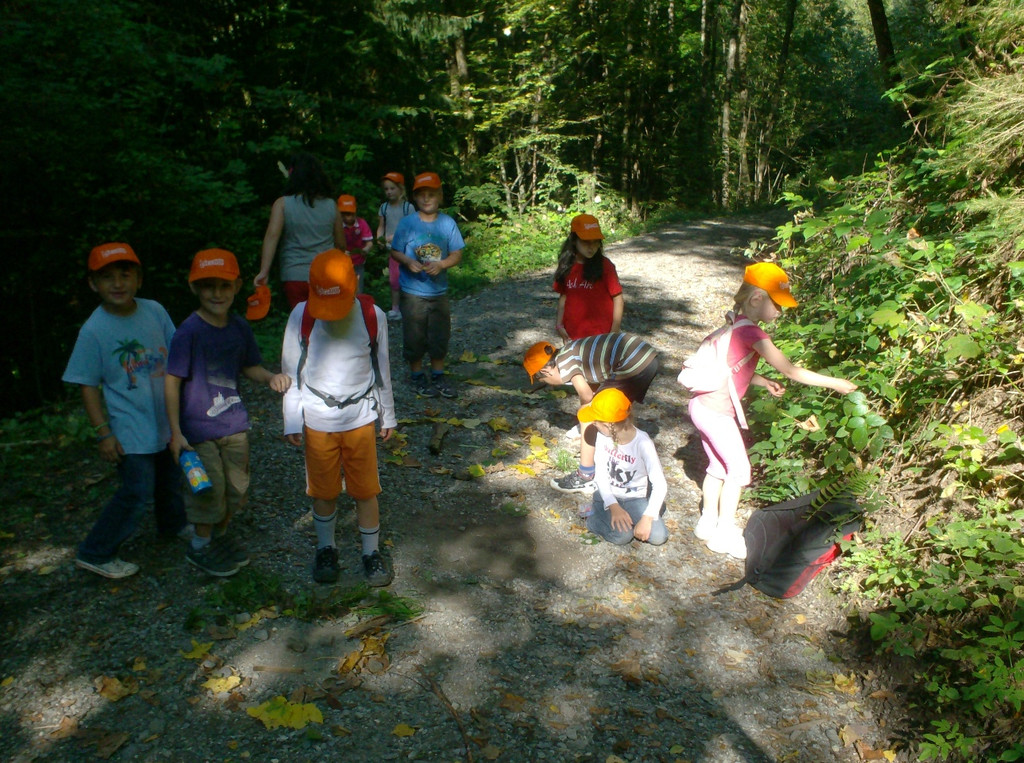 VS Haselstauden Wald12.jpg