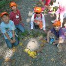 VS Haselstauden Wald13.jpg