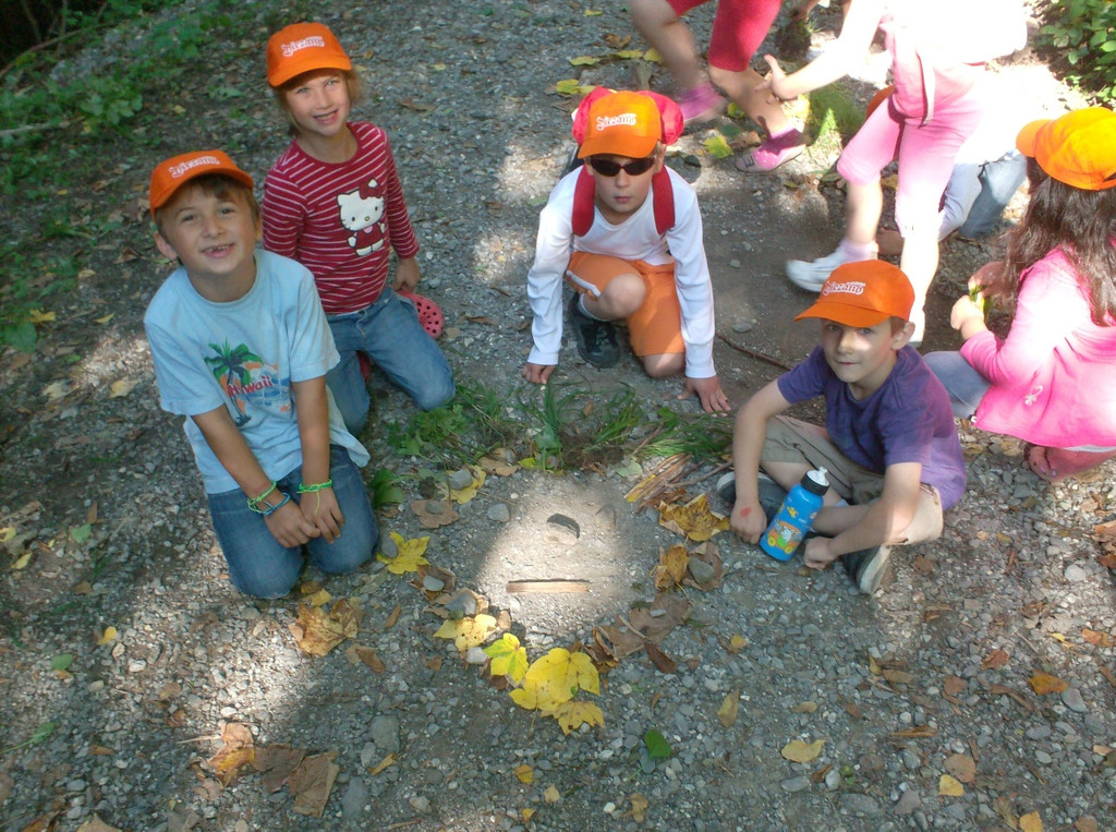 VS Haselstauden Wald13.jpg