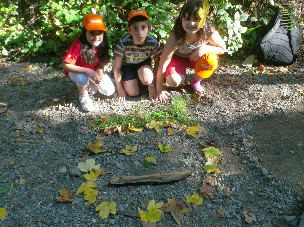 VS Haselstauden Wald2.jpg