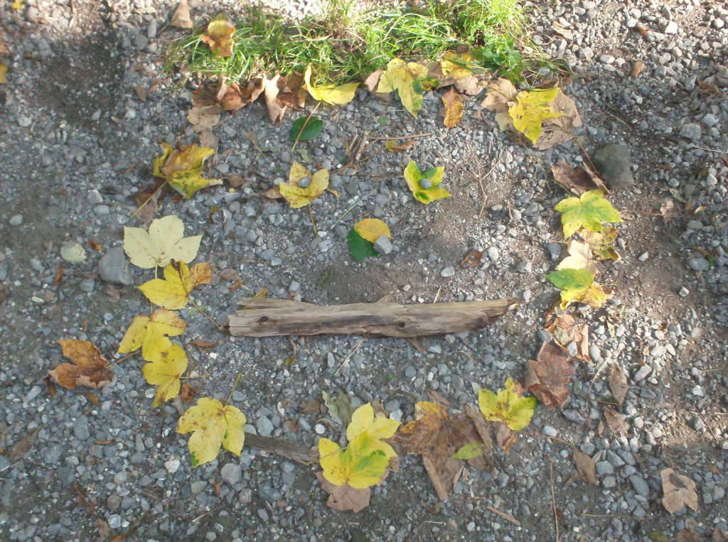 VS Haselstauden Wald3.jpg