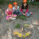 VS Haselstauden Wald4.jpg
