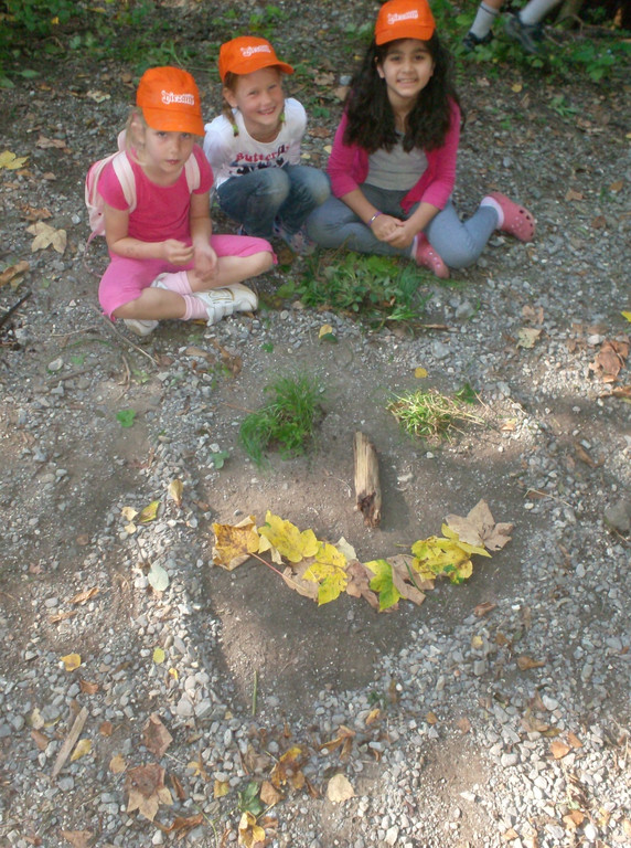 VS Haselstauden Wald4.jpg