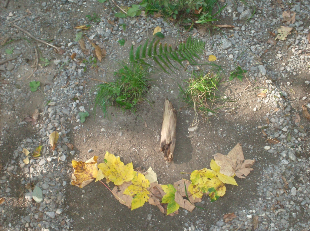 VS Haselstauden Wald5.jpg