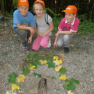 VS Haselstauden Wald6.jpg