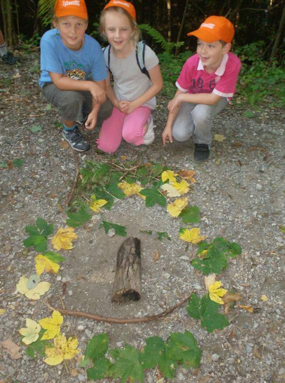 VS Haselstauden Wald6.jpg
