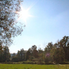 Herbstbilder