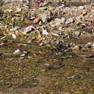bild04.jpg