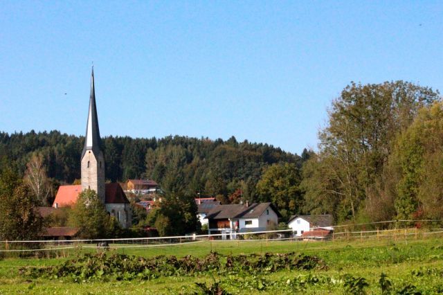 bild11.jpg