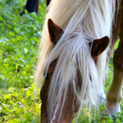 bild12.jpg