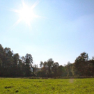 bild14.jpg