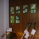 IMGP3310a.jpg