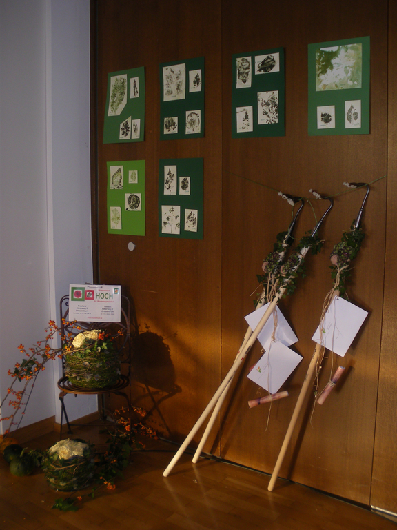 IMGP3310a.jpg