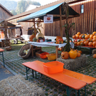 PA021026a.jpg