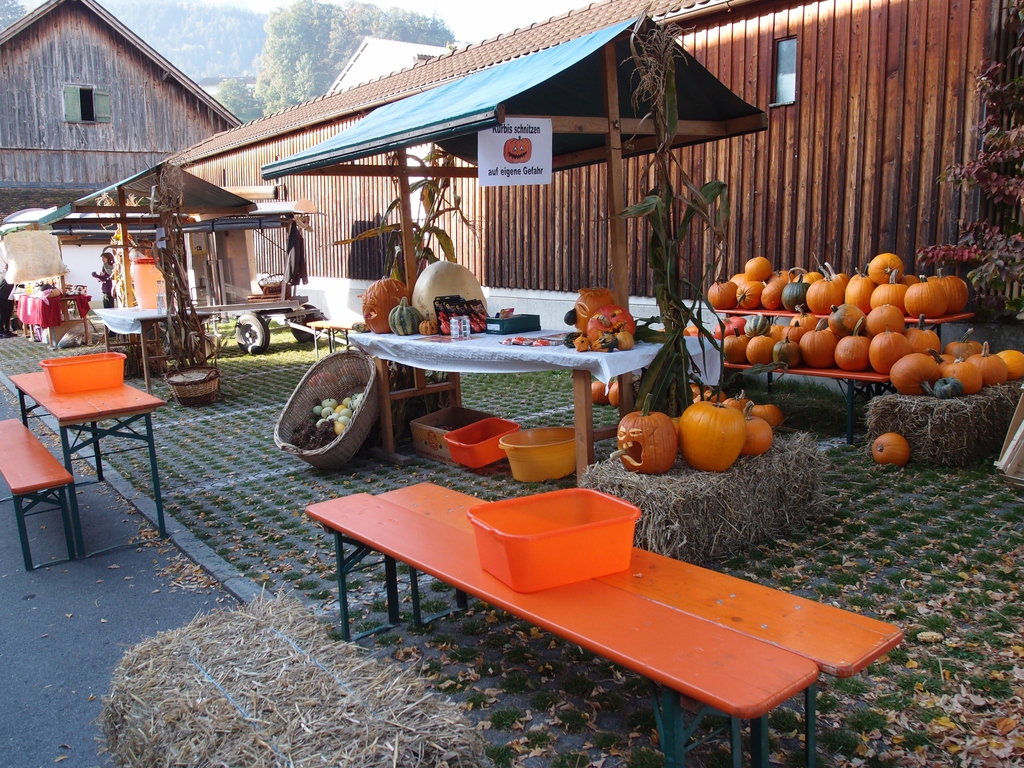 PA021026a.jpg