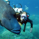 fish_scuba_diver.jpg