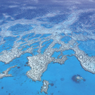 aerial_of_hardy_reef_great_barrier_reef.jpg