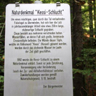 IMG_2006_jpg-1317753492