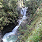 IMG_2009_jpg-1317753496