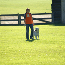 DSC03837.JPG