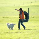 DSC03889.JPG