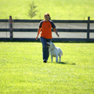 DSC03987.JPG