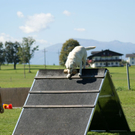 DSC04012.JPG