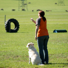 DSC04018.JPG