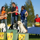 DSC04077.JPG