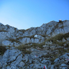 normal_hohergoellffsalzburgsberge_072.jpg