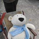DSC07838.JPG