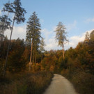 bild03.jpg