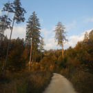bild03.jpg