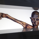 DAB2028-20110412.jpg