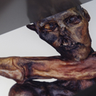 DAB2032-20110412.jpg