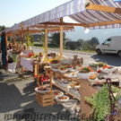 IMG_2179.jpg