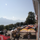 IMG_2331.jpg