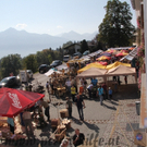 IMG_2336.jpg
