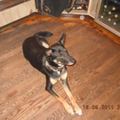 DSCN4165.JPG