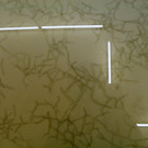 112_8233_JPG-1317847307