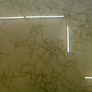 112_8233_JPG-1317847618