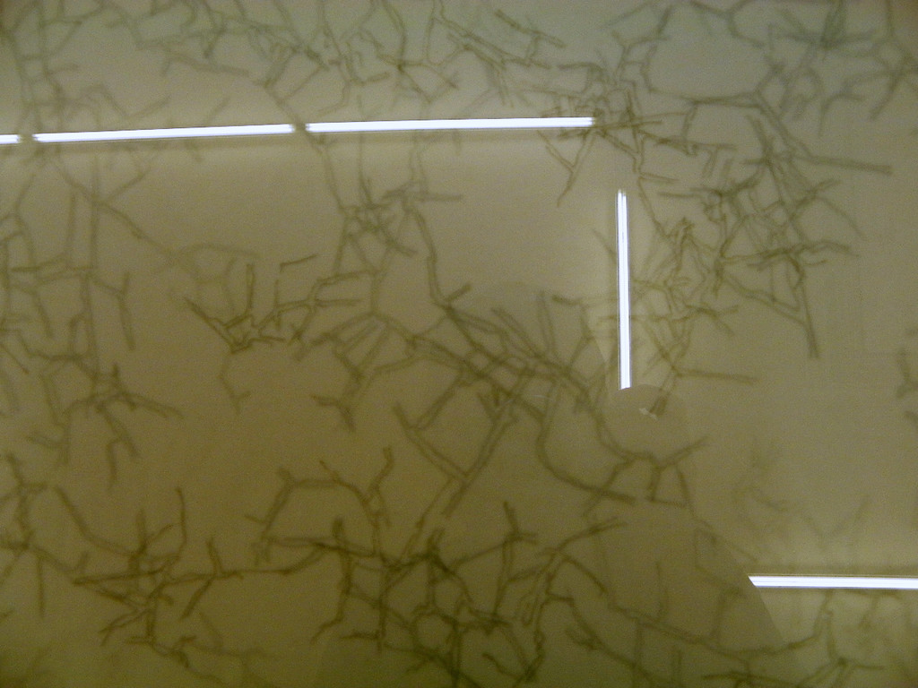 112_8233_JPG-1317847618