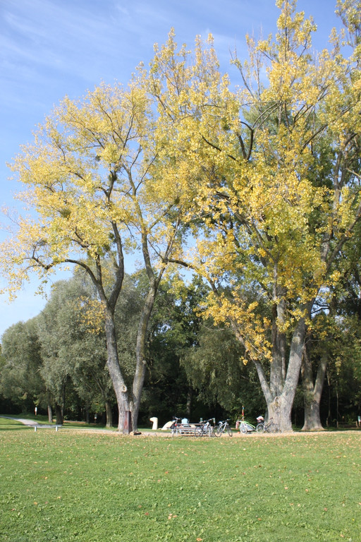 Herbst am See _2__jpg-1317882801